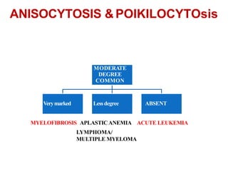 MODERATE
DEGREE
COMMON
ANISOCYTOSIS & POIKILOCYTOsis
Verymarked Less degree ABSENT
MYELOFIBROSIS APLASTIC ANEMIA ACUTE LEUKEMIA
LYMPHOMA/
MULTIPLE MYELOMA
 