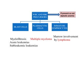 Myelofibrosis Multiple myeloma
Acute leukemias
Subleukemic leukemias
BLAST CELLS
PLASMACYTIC
CELLS
IMMATURE
LYMPHOCYTES
WBC AND RBC
PRECURSORS
Marrow involvement
by lymphoma
If present so not
Aplastic anemia
 