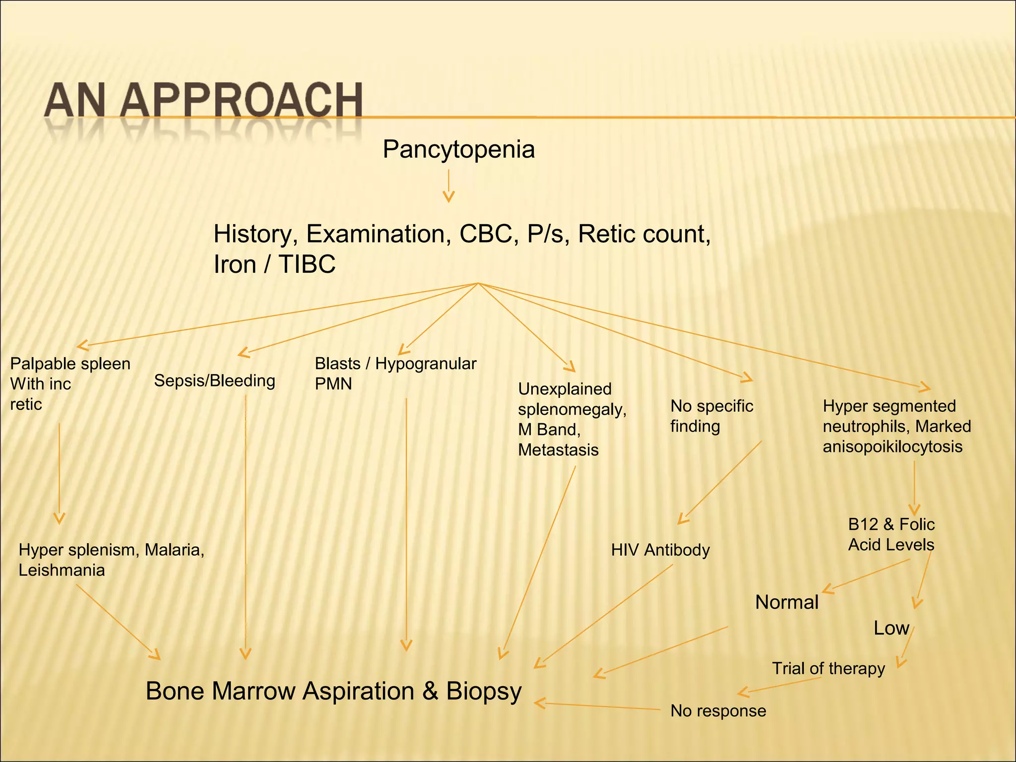 Pancytopenia
History, Examination, CBC, P/s, Retic count,
Iron / TIBC
Palpable spleen
With inc
retic
Sepsis/Bleeding
Blasts / Hypogranular
PMN Unexplained
splenomegaly,
M Band,
Metastasis
No specific
finding
Hyper segmented
neutrophils, Marked
anisopoikilocytosis
B12 & Folic
Acid LevelsHyper splenism, Malaria,
Leishmania
Bone Marrow Aspiration & Biopsy
HIV Antibody
Normal
Low
Trial of therapy
No response
 