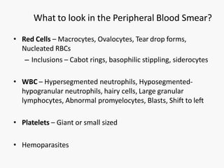 Approach to pancytopenia presentation medicone | PPTX