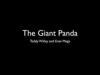 The Giant Panda
  Teddy Willey and Evan Mega
 