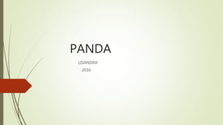 PANDA
LISANDRA
2016
 