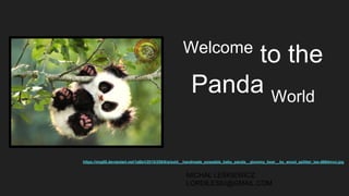 Welcome
to the
Panda World
https://img00.deviantart.net/1a6b/i/2015/259/6/a/sold__handmade_poseable_baby_panda__glummy_bear__by_wood_splitter_lee-d964mvo.jpg
MICHAŁ LEŚKIEWICZ
LORDILESIU@GMAIL.COM
 