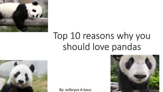 Top 10 reasons why you
should love pandas
By: wilbryce A baus
 