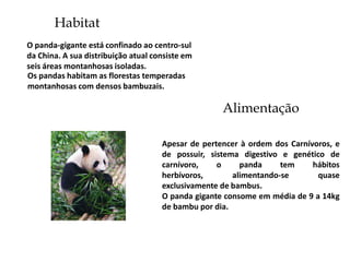 Habitat
O panda-gigante está confinado ao centro-sul
da China. A sua distribuição atual consiste em
seis áreas montanhosas isoladas.
Os pandas habitam as florestas temperadas
montanhosas com densos bambuzais.

                                                    Alimentação

                                     Apesar de pertencer à ordem dos Carnívoros, e
                                     de possuir, sistema digestivo e genético de
                                     carnívoro,    o     panda     tem     hábitos
                                     herbívoros,       alimentando-se       quase
                                     exclusivamente de bambus.
                                     O panda gigante consome em média de 9 a 14kg
                                     de bambu por dia.
 