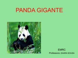 PANDA GIGANTE
EMRC
Professora: ZAARA SOUSA
 