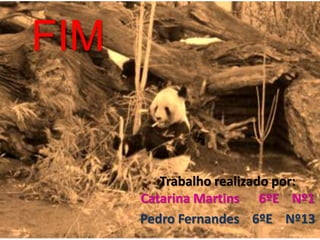 FIM
Trabalho realizado por:
Catarina Martins 6ºE Nº1
Pedro Fernandes 6ºE Nº13
 