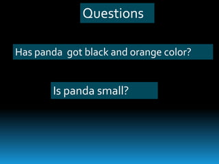 Questions
Has panda got black and orange color?
Is panda small?
 