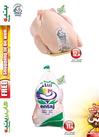 Panda And Hyper Panda Leaflet