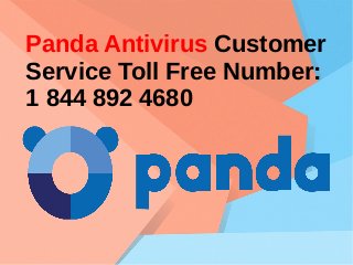 Panda Antivirus Customer
Service Toll Free Number:
1 844 892 4680
 