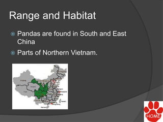 Range and Habitat
 Pandas are found in South and East
China
 Parts of Northern Vietnam.
 