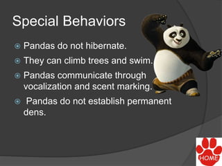 Special Behaviors
 Pandas do not hibernate.
 They can climb trees and swim.
 Pandas communicate through
vocalization and scent marking.
 Pandas do not establish permanent
dens.
 
