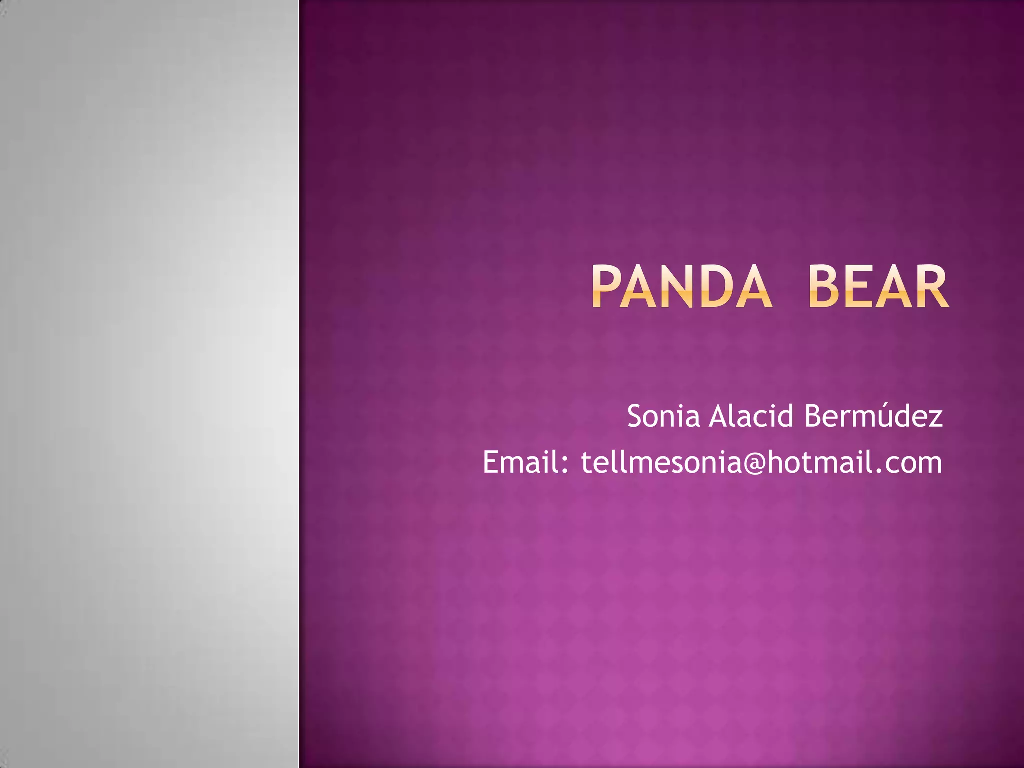 Panda bear | PPT | Free Download
