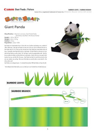 Giant Panda : Pattern                                                                                                   BAMBOO LEAVES / BAMBOO BRANCH
                                                                                  Canon ® is a registered trademark of Canon Inc.




                http://bj.canon.co.jp/english/3D-papercraft/




Giant Panda
Classification : Mammal, carnivore, Giant Panda family
                  (Sometimes classified in the Racoon family)
Height : 150 to 180 cm
Weight : 64 to 125 kg
Habitat : China
Population : about 1000

Giant Pandas live in humid bamboo forests or forests with a mix of coniferous and deciduous trees, at altitudes of
1300 to 3600 meters. Both males and females live alone most of the year, and do not hibernate like bears do.
Giant Pandas sleep for 10 to 16 hours per day, and spend most of their waking hours eating bamboo shoots and
leaves. Occasionally a Giant Panda will eat insects or small animals. The Giant Panda has a protrusion on its wrist,
which the Giant Panda can use like a thumb. This quot;sixth fingerquot; is perfect for grasping bamboo stalks. Giant Pan-
das are excellent tree climbers, and often climb trees to avoid enemies. However, they are not very good at climb-
ing down from trees, and often fall in the process. Giant Pandas have black fur around their eyes and on their
ears, nose, shoulders, arms, and legs. Other areas of their bodies are covered by white or cream-colored fur. Their
tails are white as well.
Giant Pandas are an endangered species. It is estimated that only about 1000 Giant Pandas are living in the wild.


* After building the Giant Panda model, you can use a black pen to cover the dotted lines in the black body areas.




      BAMBOO LEAVES



                   BAMBOO BRANCH
                                                                                                                                                      BAMBOO LEAVES
                                                                                                                              BAMBOO LEAVES




                                                                                                                                                                  BAMBOO LEAVES
                                                                                                                                                                                  BAMBOO LEAVES
                                                                                                                                    BAMBOO LEAVES




                                                                                                                       1
 