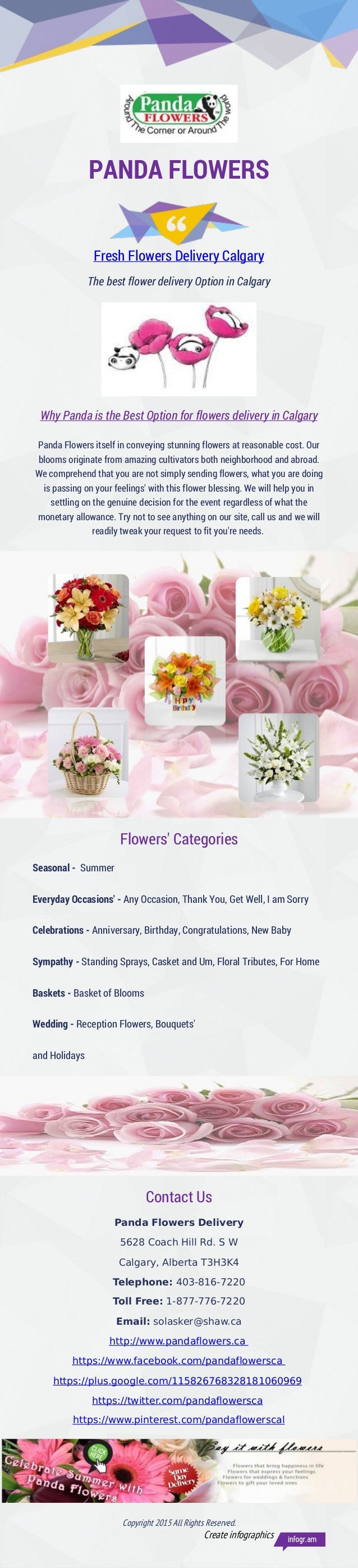 Panda fresh flowers_delivery_calgary