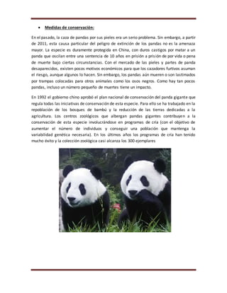 Medidas de conservación:
En el pasado, la caza de pandas por sus pieles era un serio problema. Sin embargo, a partir
de ...