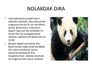 NOLAKOAK DIRA
• Leku bakoitzeko pandek itxura
ezberdina daukate. Sihuneko panda
ezagunena da eta ile zuri eta beltza
dauka. Belarrietan, muturrean,
begien inguruan eta sorbaldan ile
ilunak ditu eta aurpegiko beste
zatietan, sabelean eta bizkarrean ile
zuriak.
• Beraien begiak oso txikiak dira.
Beste hartzen begi niniak borobilak
dira, baina pandenak, berriz,
katuenak bezalakoak dira.
Zangoetan bost atzamar dauzkate
eta seigarren bat erpuru moduan .
 