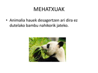 MEHATXUAK
• Animalia hauek desagertzen ari dira ez
dutelako bambu nahikorik jateko.
 
