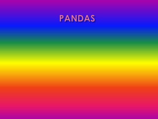 PANDAS 