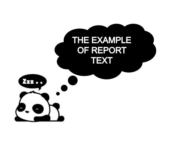 Report text about panda plant - coversletters.web.fc2.com