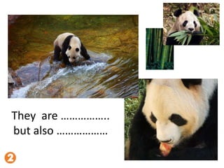 They are ……………..
but also ………………
 