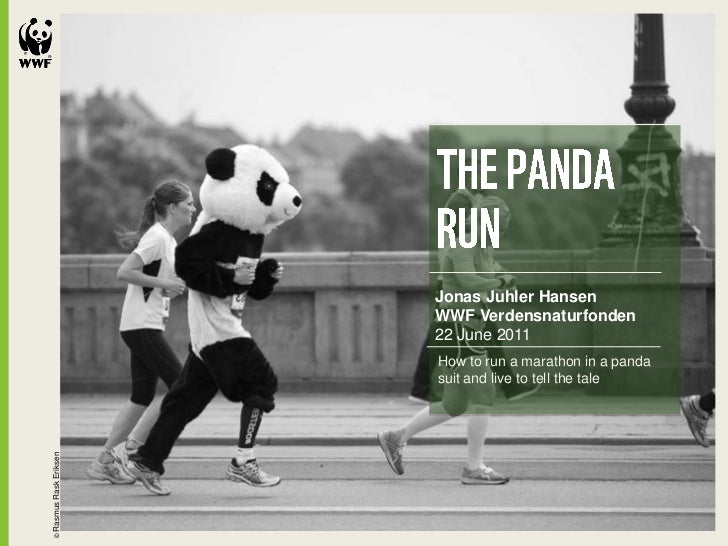 The Panda Run