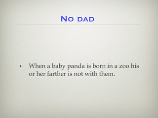No dad When a baby panda is born in a zoo his or her farther is not with them.