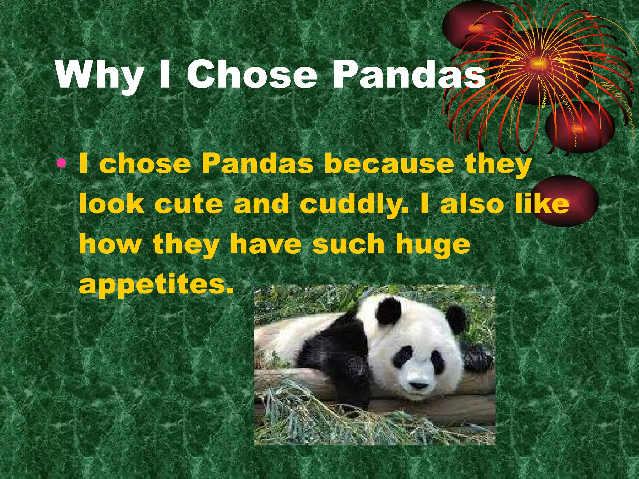 Why I Chose Pandas I chose Pandas because they look cute and cuddly. I also like how they have such huge appetites.