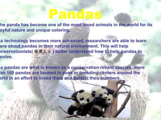Pandas The panda has become one of the most loved animals in the world for its playful nature and unique coloring.  As technology becomes more advanced, researchers are able to learn more about pandas in their natural environment. This will help conservationists( 保育人士 ) better understand how to help pandas to survive. -As pandas are what is known as a conservation reliant species, more than 160 pandas are located in zoos or breeding centers around the world in an effort to breed them and bolster their numbers. 