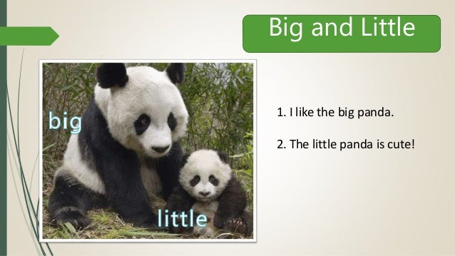 Five Little Pandas Five Little Pandas