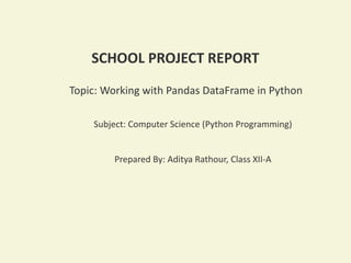 Pandas Project.pdf sample pandas decorated project for class 12 th aissce exam | PPTX