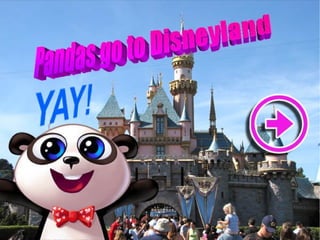 Pandas Go to Disneyland