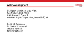Dr. Bijesh Maharjan, UNL-PREC
Rex Nielsen, UNL-PREC
UNL Research Council
Western Sugar Cooperative, Scottsbluff, NE
---
Dr. B. M. Prasanna
Dr. Victor Kommerell
Claudia Velasco
Jennifer Johnson
Acknowledgment
 