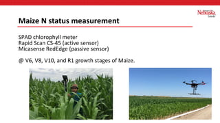 SPAD chlorophyll meter
Rapid Scan CS-45 (active sensor)
Micasense RedEdge (passive sensor)
@ V6, V8, V10, and R1 growth stages of Maize.
Maize N status measurement
 