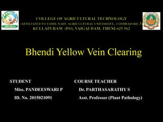 Bhendi Yellow Vein Clearing
STUDENT
Miss. PANDEESWARI P
ID. No. 2015021091
COURSE TEACHER
Dr. PARTHASARATHY S
Asst. Professor (Plant Pathology)
 