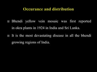  Bhendi yellow vein mosaic was first reported
in okra plants in 1924 in India and Sri Lanka.
 It is the most devastating disease in all the bhendi
growing regions of India.
 