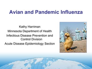 Avian and Pandemic Influenza 
Kathy Harriman 
Minnesota Department of Health 
Infectious Disease Prevention and 
Control Division 
Acute Disease Epidemiology Section 
 