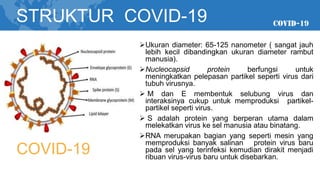 COVID-19
STRUKTUR COVID-19
➢Ukuran diameter: 65-125 nanometer ( sangat jauh
lebih kecil dibandingkan ukuran diameter rambut
manusia).
➢Nucleocapsid protein berfungsi untuk
meningkatkan pelepasan partikel seperti virus dari
tubuh virusnya.
➢ M dan E membentuk selubung virus dan
interaksinya cukup untuk memproduksi partikel-
partikel seperti virus.
➢ S adalah protein yang berperan utama dalam
melekatkan virus ke sel manusia atau binatang.
➢RNA merupakan bagian yang seperti mesin yang
memproduksi banyak salinan protein virus baru
pada sel yang terinfeksi kemudian dirakit menjadi
ribuan virus-virus baru untuk disebarkan.
 
