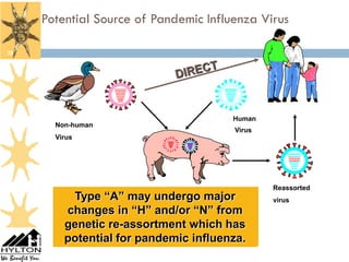 Potential Source of Pandemic Influenza Virus

28




                                       Human
       Non-human
                                       Virus
       Virus




                                               Reassorted
          Type “A” may undergo major
        Viruses are PROLIFIC and               virus
         changes in “H” and/or “N” from
        very PROMISCUOUS little
        genetic re-assortment which has
                    beggars!
        potential for pandemic influenza.
 