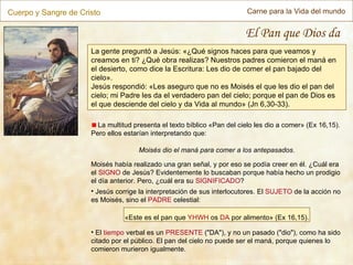 Pan de vida | PPS