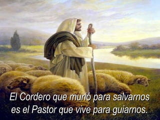 El Cordero que murió para salvarnos es el Pastor que vive para guiarnos. 
