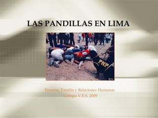 LAS PANDILLAS EN LIMA Persona, Familia y Relaciones Humanas  Colegio V.E.S. 2009 