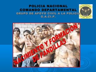 POLICIA NACIONAL
COMANDO DEPARTAMENTAL
GRUPO DE APOYO CIVIL A LA POLICIAGRUPO DE APOYO CIVIL A LA POLICIA
G.A.CI.P.G.A.CI.P.
 