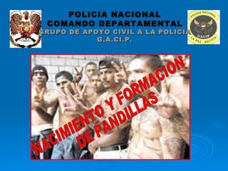 NACIMIENTO Y FORMACION DE PANDILLAS POLICIA NACIONAL COMANDO DEPARTAMENTAL GRUPO DE APOYO CIVIL A LA POLICIA G.A.CI.P. 