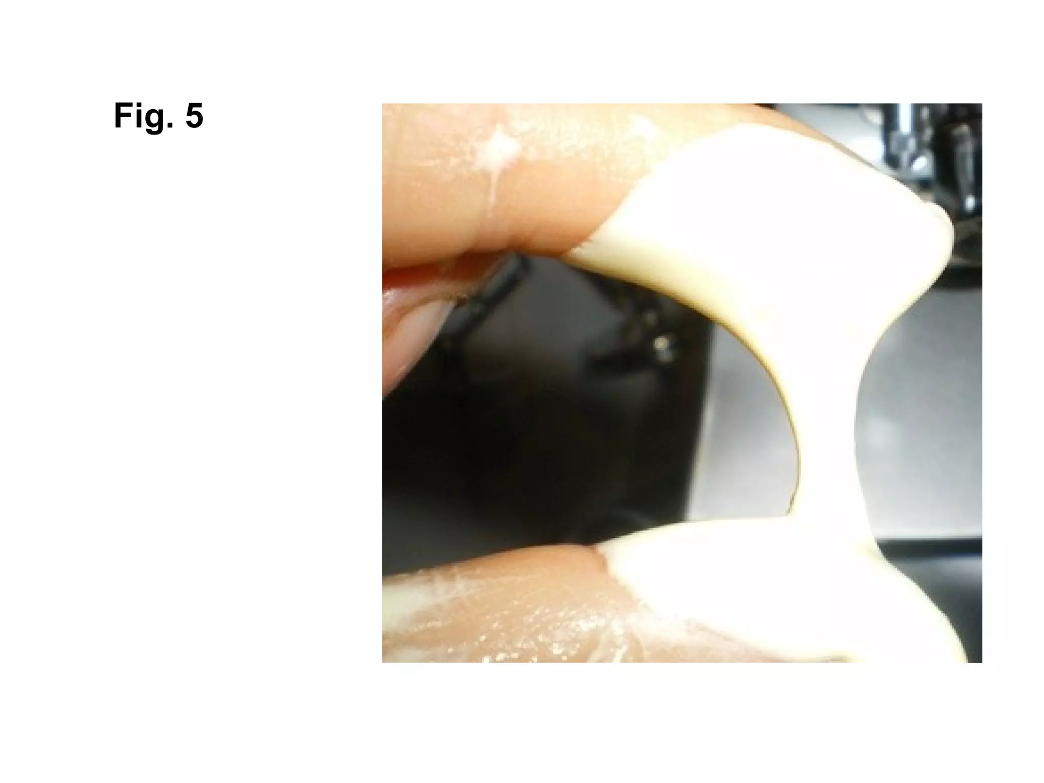 Fig. 5