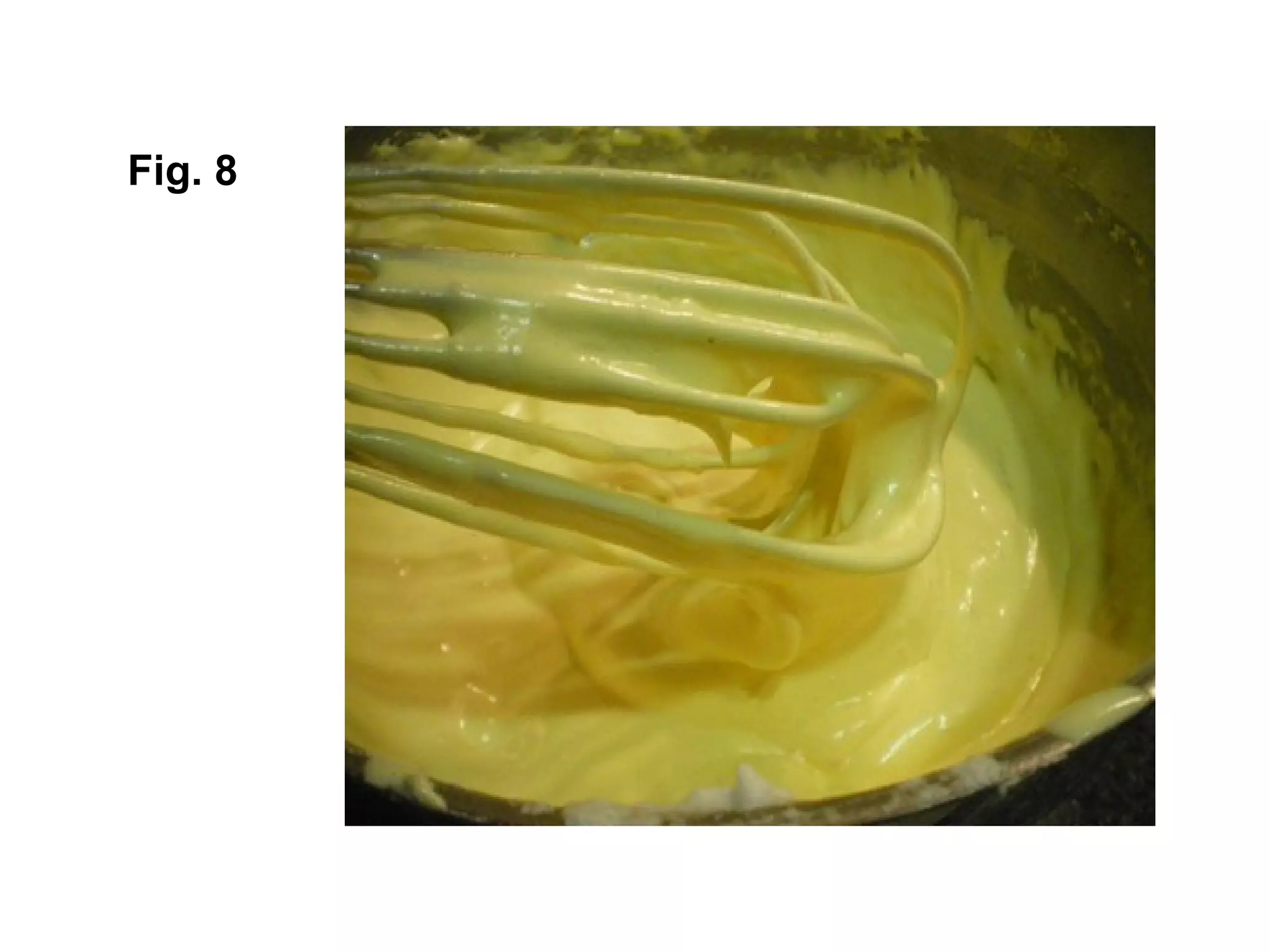 Fig. 8