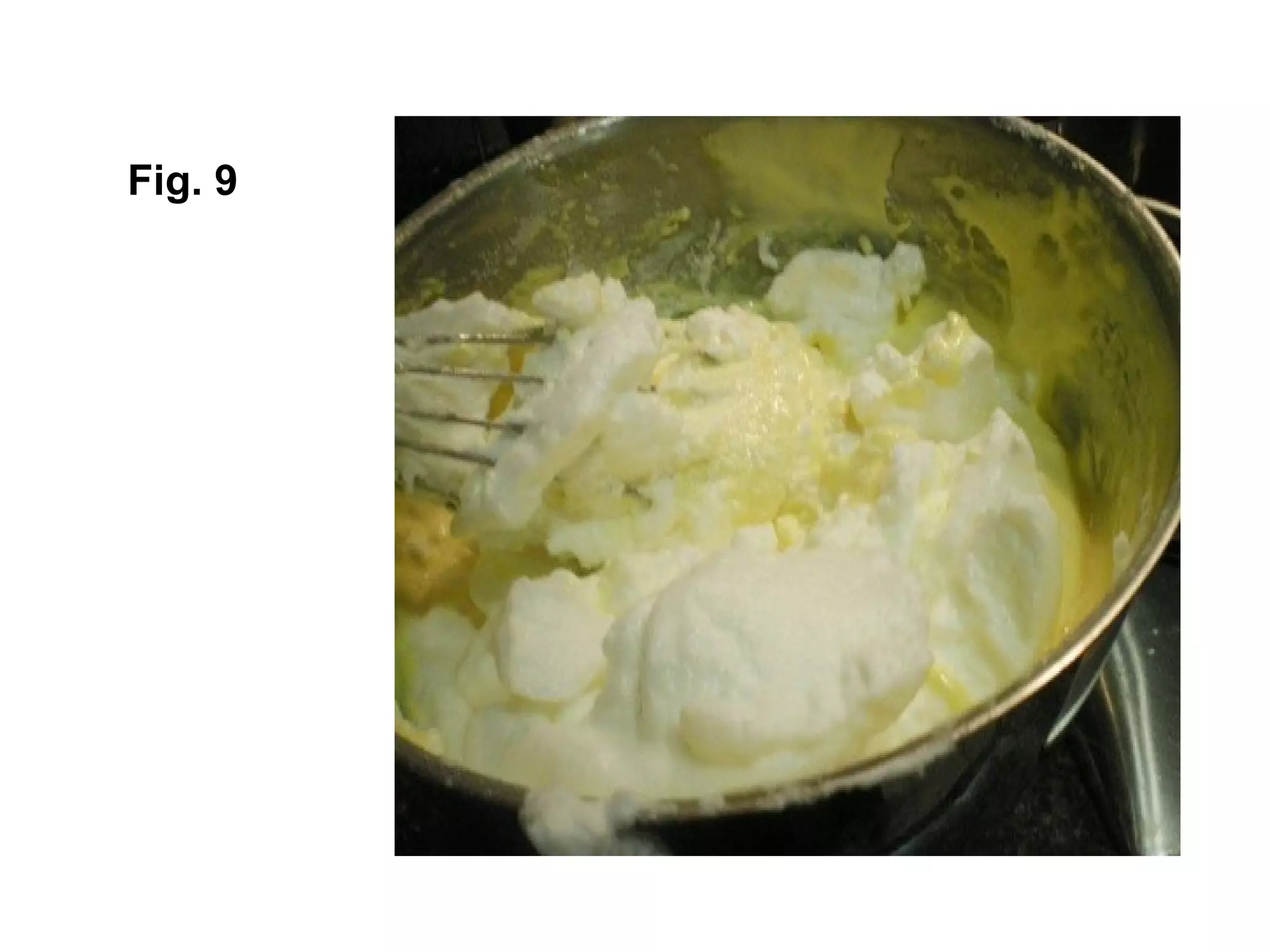 Fig. 9