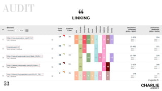 “LINKING
AUDIT
53
majestic.fr
 
