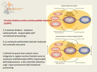PATTERN NEUROFUNZIONALI E BRAIN IMAGING 
NEI DISTURBI DELLO SPETTRO AFFETTIVO 
Circuito limbico-cortico-striato-pallido-talamico 
(LCSPT) 
1.Il sistema limbico - talamico 
sottocorticale responsabile dell’ 
«emotional processing» 
2.La corteccia prefrontale laterale implicata 
nel controllo esecutivo 
L’attività di questi due sistemi viene 
integrata in regioni ventro-frontali come la 
corteccia orbitofrontale (OFC) responsabili 
dell’elaborazione e del controllo attentivo 
sugli input provenienti dall’emotional 
processing 
 