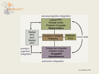 PATTERN NEUROFUNZIONALI E BRAIN IMAGING 
NEI DISTURBI DELLO SPETTRO AFFETTIVO 
ad. da Mayberg, 1999 
 